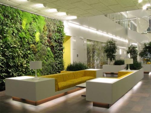Top Benefits Of Interior Plant Decoration Interior Gardens